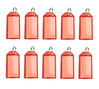 Key Tags with Labels and Key Rings, 10 PCS Plastic Key Fobs for Distinguishing Keys, USB, ID Tags, Luggage Name Tags (Translucent Red)