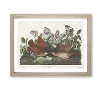 Key West Doves Bird By John James Audubon Vintage Framed Print | A4 Oak Framed Wall Art | Ready to Hang | Classic Animal Picture | Living Room Bedroom Lounge Office