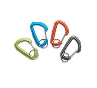 Climbing carabiner Black Diamond Micro ACCSSRY TU