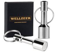 Keychain Magnet for Testing Brass, Pocket Magnets for Purse with Strong Magnetic Rare Earth Neodymium,Gold,Silver, Jewelry, Metals Test Magnet and Hanging Keys Holder WELLZEER (2PACK-D17mm-Silver)