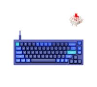 Keychron Q2 Wired Custom Mechanical Keyboard, QMK/VIA Programmable Macro, Full Aluminum, Hot-Swappable Gateron G Pro Red Switch, 65% Layout Double Gasket Compatible with Mac and Windows - Blue