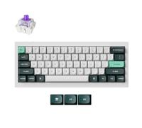 Keychron Q4 HE Custom Mechanical Keyboard US ANSI Layout, QMK Rapid Trigger Wireless Gaming Keyboard with Hot-Swappable Gateron Daul-Rail Magnetic Switch, Aluminum, RGB Backlit for Mac Windows, White