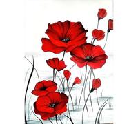 KEYIFA Flowers 5D Diamond Art Painting Kit, Red Poppies Flowers Crystal Art Diamond Painting Pictures, DIY Full Drill Canvas Photo Diamond Painting Kits for Adults, Home Wall Decor 30x40CM