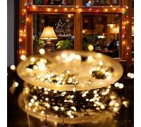 KeyoGoS LED Copper Wire Firecracker Light String & Copper Wire String Lights - Firecracker Fairy Ligh ts for Holiday Wreaths, Christmas Tree, Indoor/Outdoor Ambience (C,20M European Standard)