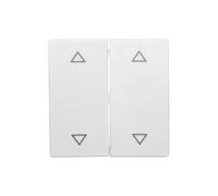 Keys with symbol/arrow print Berker Q.1 16446089