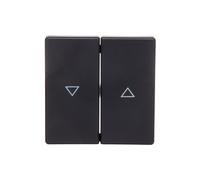 Keys with symbol/arrow print Berker Q.1/Q.3 16256086