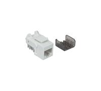 Keystone RJ45 Cat6a 10 Gigabit Module, UTP, White IWP-MD C6A/WH