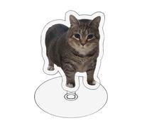 Keyubria Spin Cat Decor | Clear Acrylic Cat Desk Ornament | Funny Exquisite Home Decor for Kitten Lovers Collection, Rotating Sculpture for Living Room