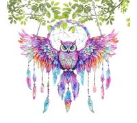 Kezvmhy' Owl Window Sun Catcher - Owl Acrylic Suncatcher, Window Owl Sun Catcher 2D Acrylic Owl Suncatcher, Suncatcher Owl Shaped Wall Decor Pendant for Car Decoration Garden Kitchen Living Room