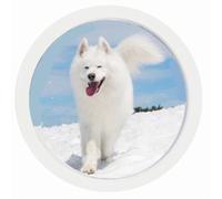 kfeity Round Photo Frame Stylish Circle Wooden Wall Hanging Picture Frames for Home Office Wall Decor (White, 12inch)