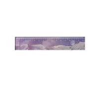 KFGISD, 6 designs 15 cm Starry sky Acrylic color ruler multifunctional DIY children's student office school stationery Set,Rulers(C)