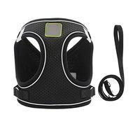 KFGISD, And Lead Black Nylon Puppy Cat Harnesses Vest Reflective Dog Harness And Leash Set For Small Medium Walking Lead Leash L,Dog Carrier(XS)