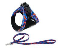 KFGISD, And Lead Pet Dog Harness For Small Medium Dogs Breathable Puppy Cat Harnesses Leash Set Pets Accessories D S,Dog Carrier(C,M)