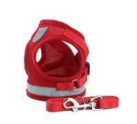 KFGISD, And Lead Red Nylon Dog Harness Leash Set Reflective Small Pet Puppy Cat Vest Harnesses For Small Medium Dogs M,Dog Carrier(XS)