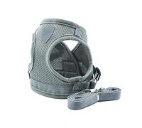 KFGISD, And Leash Gray Nylon Dog Harness Leash Set Reflective Small Pet Puppy Cat Vest Harnesses For Small Medium Dogs Xl,Dog Carrier(S)