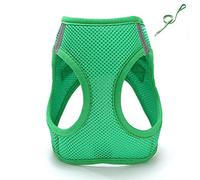KFGISD, And Leash Green Dog Leash Cat Adjustable Harness Vest Walking Lead Leash For Puppy Dogs Collar Harness,Dog Carrier(XL)