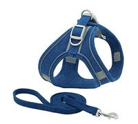 KFGISD, And Leash Reflective Dog Cat Harnesses Vest Pet Dog Nylon Harness And Leash Set Red Xs,Dog Carrier(Blue,XS)