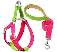 KFGISD, Cat Dog Harness With Lead Dog Harness And Leash No Pull Nylon Pet Leashes For Small Dogs Lead Leash And Collar Set G L,Dog Traction Leash(D,L)