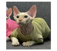 KFGISD, Cotton Velvet Elastic With Velvet Cat Clothes, Sphynx And Other Invisible Cat Clothes ，Cat Clothing(Green short sleeve,L)