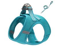 KFGISD, Leash Set Blue Dog Leash Cat Adjustable Harness Vest Walking Lead Leash For Puppy Dogs Collar Harness,Dog Carrier(M)