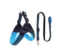 KFGISD, Leash Set Blue Reflective Pet Harness And Leash Set Dog Harnesses For Small Medium Dogs Pets Accessories Xs,Dog Carrier(L)