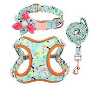 KFGISD, Leash Set Green Printed Dog Collar Leash Set Personalized Pet Dog Collar Harnesses Walking Leash For Medium Large Dogs M,Dog Carrier(M)