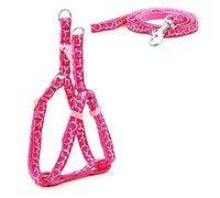 KFGISD, Leash Set Pet Dog Leash Printing Harness Small Dog Harness And Leash Set Cat Walking 3 M,Dog Carrier(15,S)