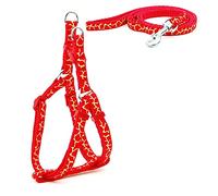KFGISD, Leash Set Pet Dog Leash Printing Harness Small Dog Harness And Leash Set Cat Walking 3 M,Dog Carrier(16,M)