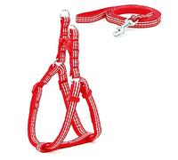 KFGISD, Leash Set Pet Dog Leash Printing Harness Small Dog Harness And Leash Set Cat Walking 3 M,Dog Carrier(19,XS)