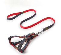 KFGISD, Leash Set Pet Leash And Harness Set Dog Adjustable Set Pet Lead Vest Small Medium Large For Walking Training Dog,Dog Carrier(Red,L)