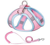 KFGISD, Leash Set Puppy Mesh Harness Soft Padded Dog Leash Small Dogs Cats Harness Vest Dog Accessories D S,Dog Carrier(F,S)