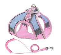 KFGISD, Leash Set Puppy Mesh Harness Soft Padded Dog Leash Small Dogs Cats Harness Vest Dog Accessories D S,Dog Carrier(G,XL)