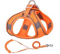 KFGISD, Leash Set Puppy Mesh Harness Soft Padded Dog Leash Small Dogs Cats Harness Vest Dog Accessories D S,Dog Carrier(D,S)