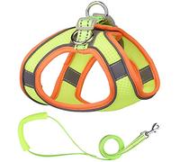 KFGISD, Leash Set Puppy Mesh Harness Soft Padded Dog Leash Small Dogs Cats Harness Vest Dog Accessories D S,Dog Carrier(C,2XS)