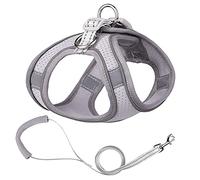 KFGISD, Leash Set Puppy Mesh Harness Soft Padded Dog Leash Small Dogs Cats Harness Vest Dog Accessories D S,Dog Carrier(B,2XS)
