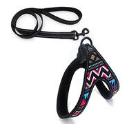 KFGISD, Leash Set Reflective Dog Harnesses And Leash Set Walking Training Dogs Harness Vest For Puppy Large Dog Pet Leashes E S,Dog Carrier(E,L)