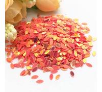 KFGISD, Sequins, 10/20g 2 * 4mm Mini Horse Eye Flat Oval Sequins for Nail Art Paillette Sewing Embellishment Findings Women,Sequins(Melon Red with Gold)