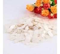 KFGISD, Sequins, 10g Paillette Sequin 10mm 15mm 20mm 25mm Large Flat Round Edge Hole Loose Sequins for Crafts Dance,Sequins(Matte White)