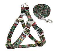 KFGISD, With Lead Adjustable Nylon Dog Harness Leash Set Printed Puppy Vest Pet Walking Training Leash Lead For Small Medium Dogs Red S,Dog Carrier(Green,M)