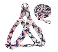 KFGISD, With Lead Adjustable Nylon Dog Harness Leash Set Printed Puppy Vest Pet Walking Training Leash Lead For Small Medium Dogs Red S,Dog Carrier(Pink,S)