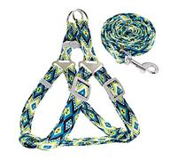 KFGISD, With Lead Adjustable Nylon Dog Harness Leash Set Printed Puppy Vest Pet Walking Training Leash Lead For Small Medium Dogs Red S,Dog Carrier(Blue,S)
