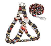 KFGISD, With Lead Adjustable Nylon Dog Harness Leash Set Printed Puppy Vest Pet Walking Training Leash Lead For Small Medium Dogs Red S,Dog Carrier(Red,M)