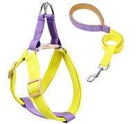 KFGISD, With Lead Dog Harness And Leash No Pull Nylon Pet Leashes For Small Dogs Lead Leash And Collar Set G L,Dog Carrier(C,L)