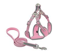 KFGISD, With Lead Pink Padded Reflective Dog Harness Vest Nylon Harness And Leash Set Adjustable Pet Harnesses For Samll Large Dogs Xxs,Dog Carrier(XS)