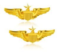KFHENSOMR 2Pcs Gold Wings Pin Alloy Wing Pilot Badge Costume Lapel Pins Brooch Air Force Wing Pins Metal Aviators Wings Pin for Hat Shirt Uniform Pilot Costume 2.28''