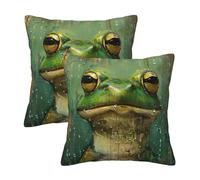 Kfjghhl Frog And Rain Throw Pillow Covers Decorative Farmhouse Couch Pillow Case 45/50cm Square Cushion Pillcase