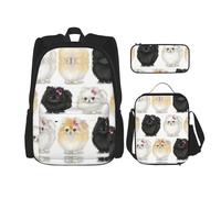 Kfjghhl Pomeranians Pattern Pencil Case Backpack Lunch Bag Boys Girls School Bookbag Set College Laptop Student Summer