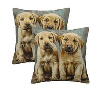 Kfjghhl Puppies Dog Throw Pillow Covers Decorative Farmhouse Couch Pillow Case 45/50cm Square Cushion Pillcase