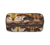 Kfjghhl Sleeping Koala Cap Pencil Case Large Girls Boys Cute Pencil Case Secondary Big Capacity Zipper Compartments