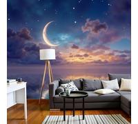 kfjhgbdshhj Fantasy Landscape 3D Effect Wall Mural - Purple-Blue Crescent Moon by The Sea Silk Fabric Wallpaper Wall Poster, Living Room Bedroom Picture Wallpaper for, 430cmx300cm